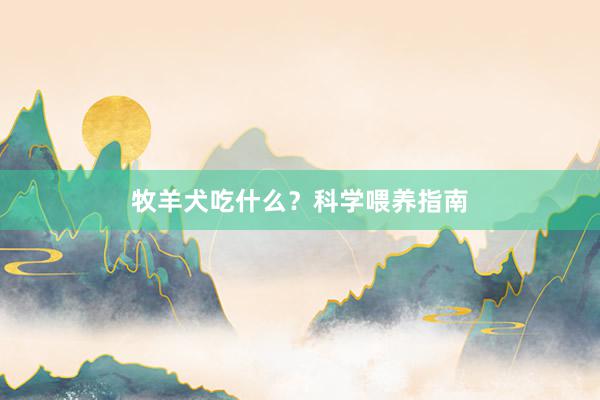 牧羊犬吃什么？科学喂养指南