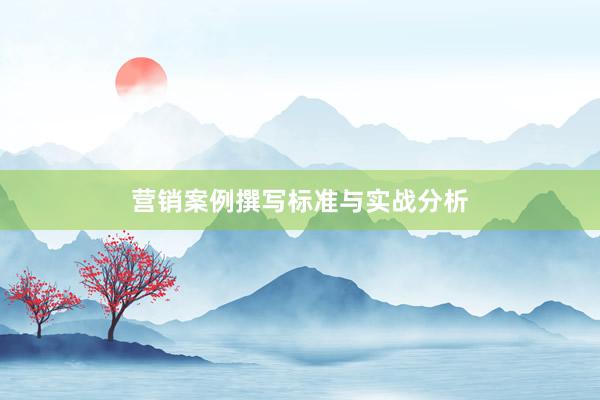 营销案例撰写标准与实战分析