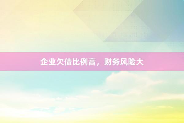 企业欠债比例高，财务风险大